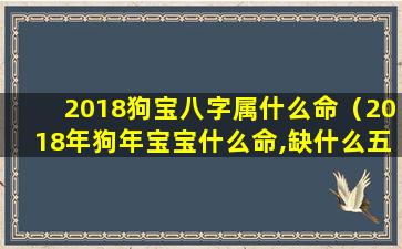 2018狗宝八字属什么命（2018年狗年宝宝什么命,缺什么五行）