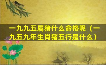 一九九五属猪什么命格呢（一九五九年生肖猪五行是什么）