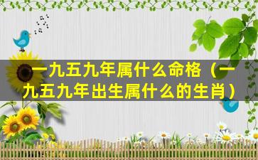 一九五九年属什么命格（一九五九年出生属什么的生肖）