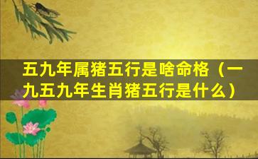 五九年属猪五行是啥命格（一九五九年生肖猪五行是什么）