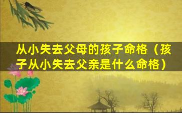 从小失去父母的孩子命格（孩子从小失去父亲是什么命格）