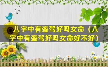 八字中有銮驾好吗女命（八字中有銮驾好吗女命好不好）