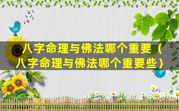 八字命理与佛法哪个重要（八字命理与佛法哪个重要些）