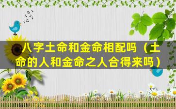 八字土命和金命相配吗（土命的人和金命之人合得来吗）