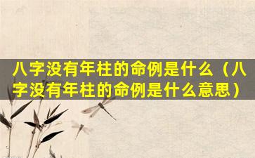 八字没有年柱的命例是什么（八字没有年柱的命例是什么意思）