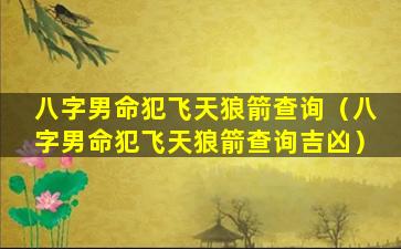八字男命犯飞天狼箭查询（八字男命犯飞天狼箭查询吉凶）