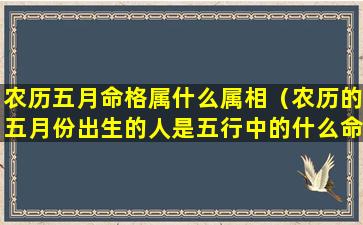 农历五月命格属什么属相（农历的五月份出生的人是五行中的什么命）