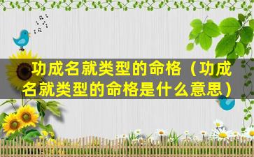 功成名就类型的命格（功成名就类型的命格是什么意思）