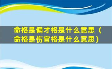 命格是偏才格是什么意思（命格是伤官格是什么意思）