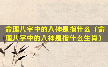 命理八字中的八神是指什么（命理八字中的八神是指什么生肖）