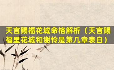 天官赐福花城命格解析（天官赐福里花城和谢怜是第几章表白）