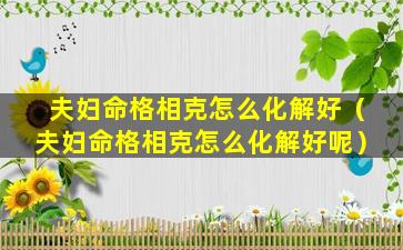 夫妇命格相克怎么化解好（夫妇命格相克怎么化解好呢）