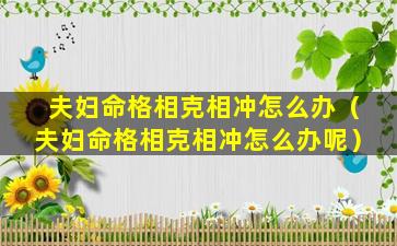 夫妇命格相克相冲怎么办（夫妇命格相克相冲怎么办呢）