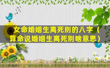 女命婚姻生离死别的八字（算命说婚姻生离死别啥意思）