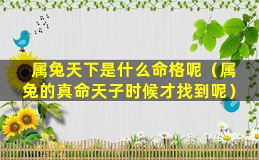 属兔天下是什么命格呢（属兔的真命天子时候才找到呢）