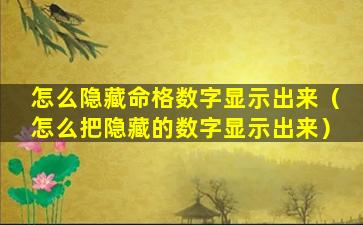 怎么隐藏命格数字显示出来（怎么把隐藏的数字显示出来）