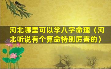 河北哪里可以学八字命理（河北听说有个算命特别厉害的）