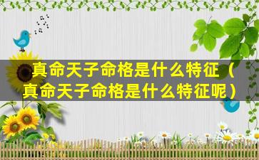 真命天子命格是什么特征（真命天子命格是什么特征呢）