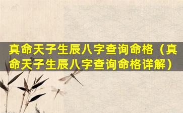 真命天子生辰八字查询命格（真命天子生辰八字查询命格详解）