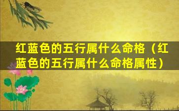 红蓝色的五行属什么命格（红蓝色的五行属什么命格属性）