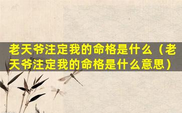 老天爷注定我的命格是什么（老天爷注定我的命格是什么意思）