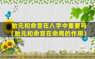 胎元和命宫在八字中重要吗（胎元和命宫在命局的作用）
