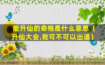 能升仙的命格是什么意思（升仙大会,我可不可以出道）