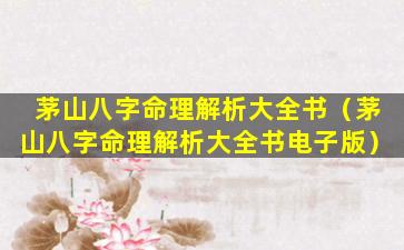 茅山八字命理解析大全书（茅山八字命理解析大全书电子版）