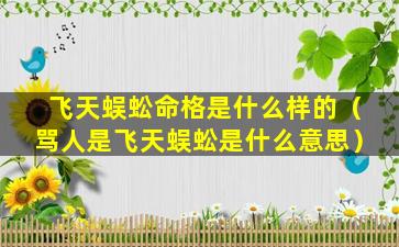 飞天蜈蚣命格是什么样的（骂人是飞天蜈蚣是什么意思）